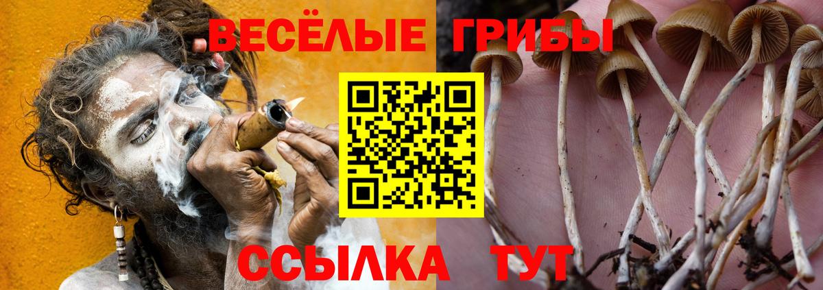 Галлюциногенные грибы прущие грибы  Вход с VPN  Магадан 